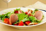 salad with tomato  and salami