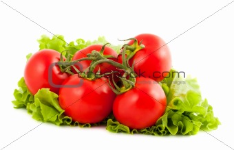 Branch of tomatoes on salad leaf