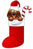 Cute Puppy Dog with Red Santa Hat in Stocking