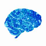 human brain, cold mind, vector abstract background