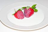 Strawberry on White