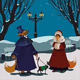 Foxes winter