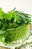fresh green grass parsley dill onion herbs mix