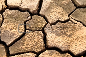 Cracked lifeless soil