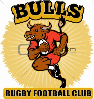 Bull playing rugby running with ball