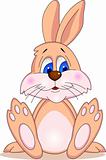 Funny rabbit cartoon