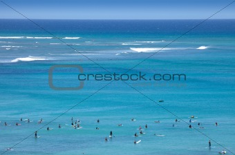 Surfers Tropical Beach Paradise
