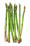 Stems of Asparagus