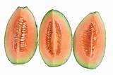 Slices of Rock Melon