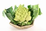 fresh Romanesco broccoli