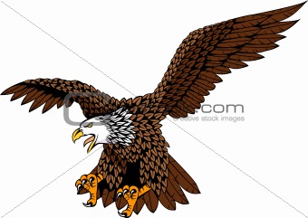 Detailed eagle vector