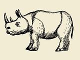 A hand drawn illustration of the rhinoceros