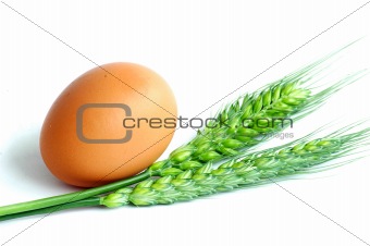 Egg and wheat