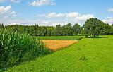 Fields in Bavaria