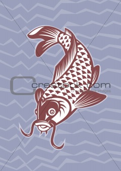 Koi carp swimming down