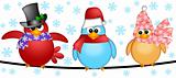 Three Christmas Birds on a Wire Illustration
