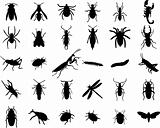Set of bugs silhouette