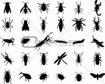 Set of bugs silhouette