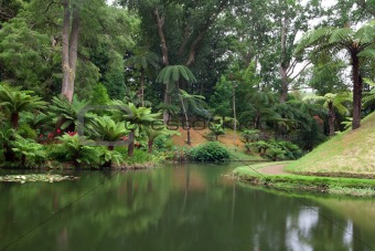 Botanic garden on Azores