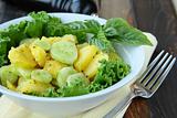 Potato salad with green and  cucumber