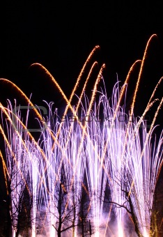 Fireworks in park