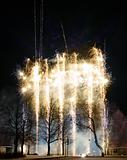 Fireworks in park