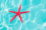 Red starfish floating on perfect tropical sea