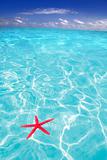 Starfish as summer symbol in tropical beach