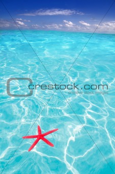 Starfish as summer symbol in tropical beach