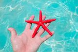 Red starfish in human hand floating