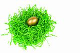 golden egg nested in green decorative grass