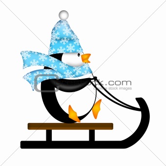 Cute Penguin on Sled Illustration