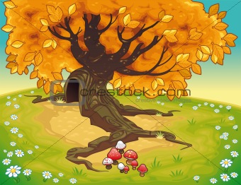 Tree in autumnal landscape.