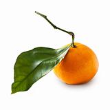 Fresh orange mandarin over isolated white background