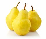 Yellow Pears 