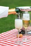 Champagne at a summer picnic