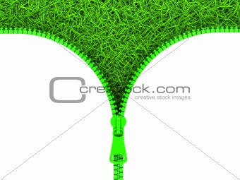 Zipped Grass