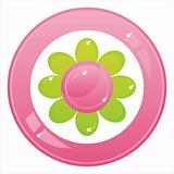flower button isolated on white