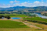 New Zealand Wine Country 