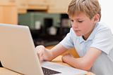 Focused boy using a laptop