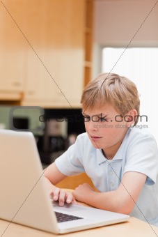 Portrait of a lovely boy using a laptop