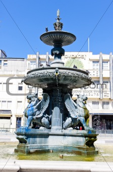 Lion's Fountain, Praca de Gomes, Porto, Douro Province, Portugal