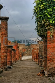 View on Vesuvio and dogs on the Pompeii ancient street. Italy