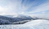 Frozen forest and meadows in Carpathians panorama