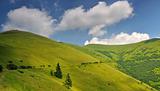 Mountain pastures in Ukraine