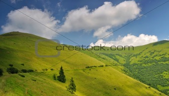 Mountain pastures in Ukraine