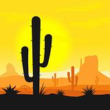 Cactus plants in desert