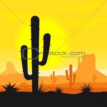 Cactus plants in desert