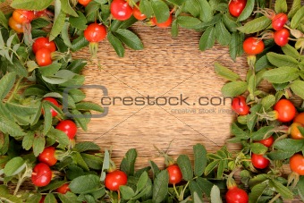 Dogrose on a wooden surface