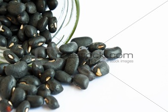 Black beans in a bottle on white background